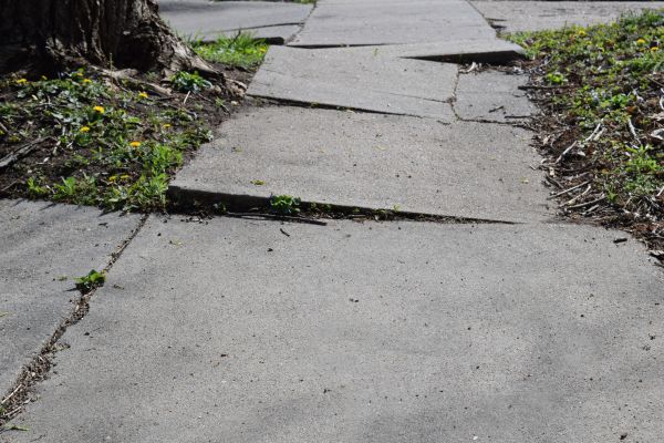 Trip Hazard Removal in Phenix City